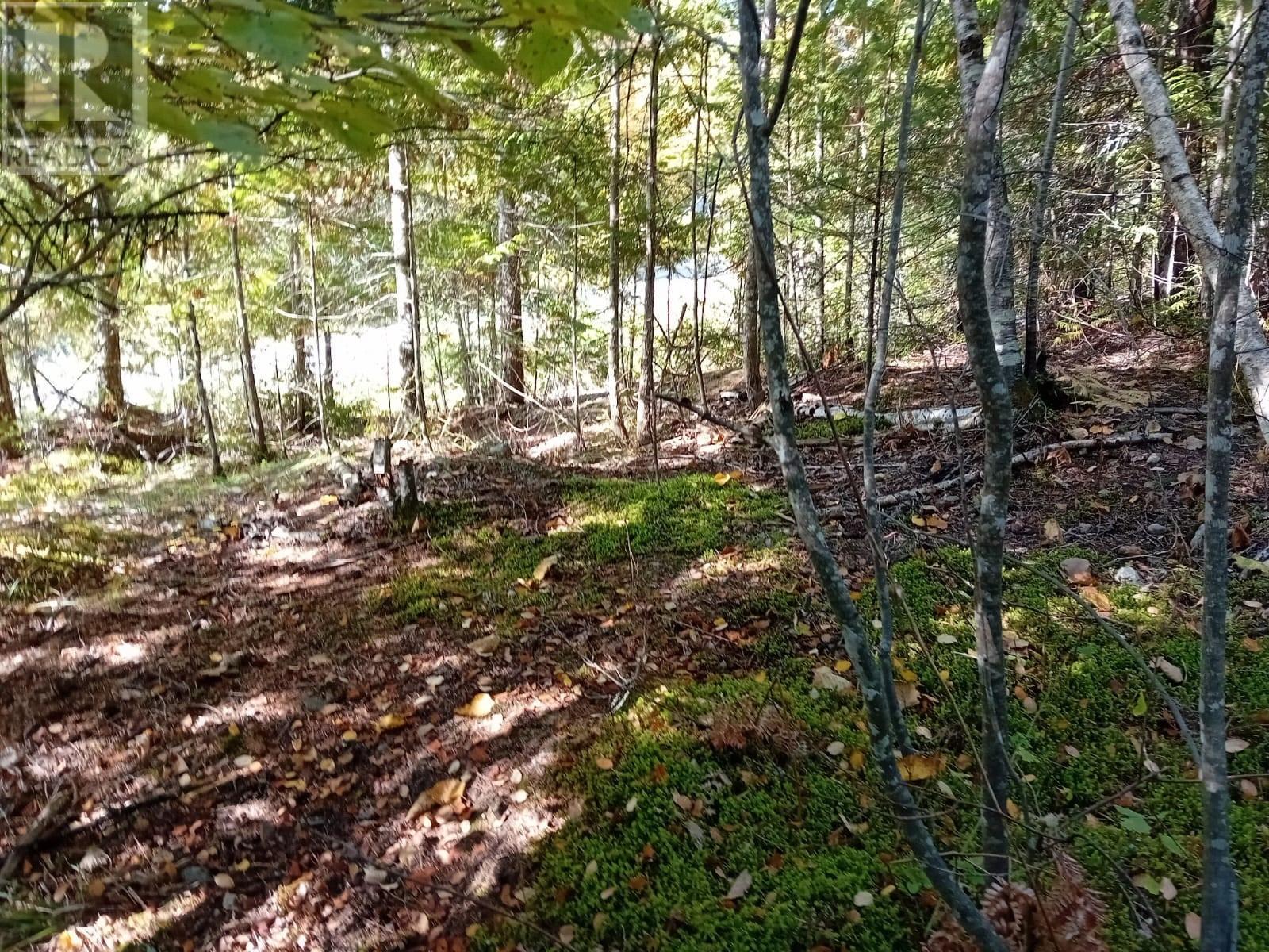 372 Aspen Road, Anglemont, BC