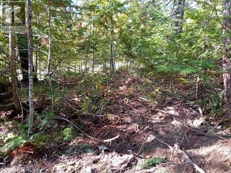 372 Aspen Road, Anglemont, BC