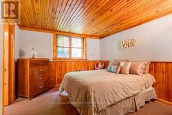 Lower level bedroom -