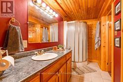 Lower level bathroom with corner shower -