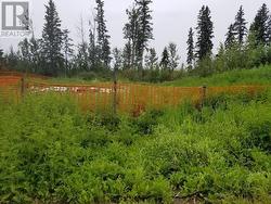 4841 52 Avenue SW Chetwynd, BC V0C 1J0