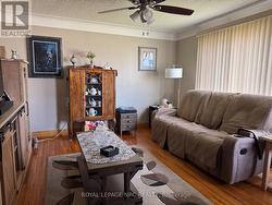 Bright living room -