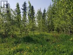 4849 52 Avenue SW Chetwynd, BC V0C 1J0