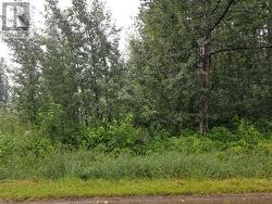 4853 52 Avenue Chetwynd, BC V0C 1J0