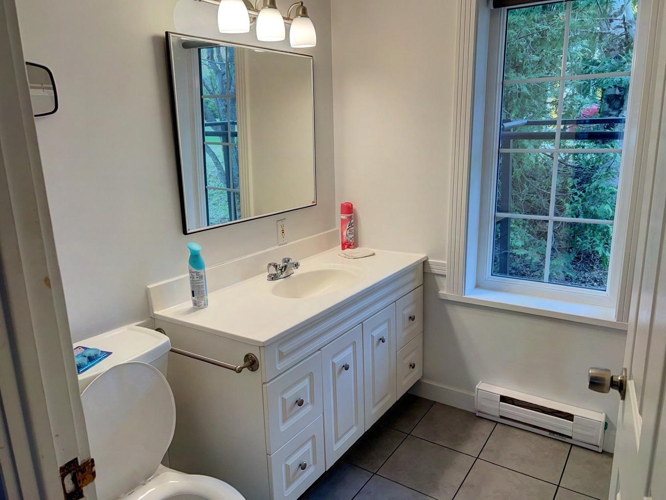 Bathroom - 106 Rue Rustico N., Saint-Alexis-De-Matapédia, QC - Indoor Photo Showing Bathroom