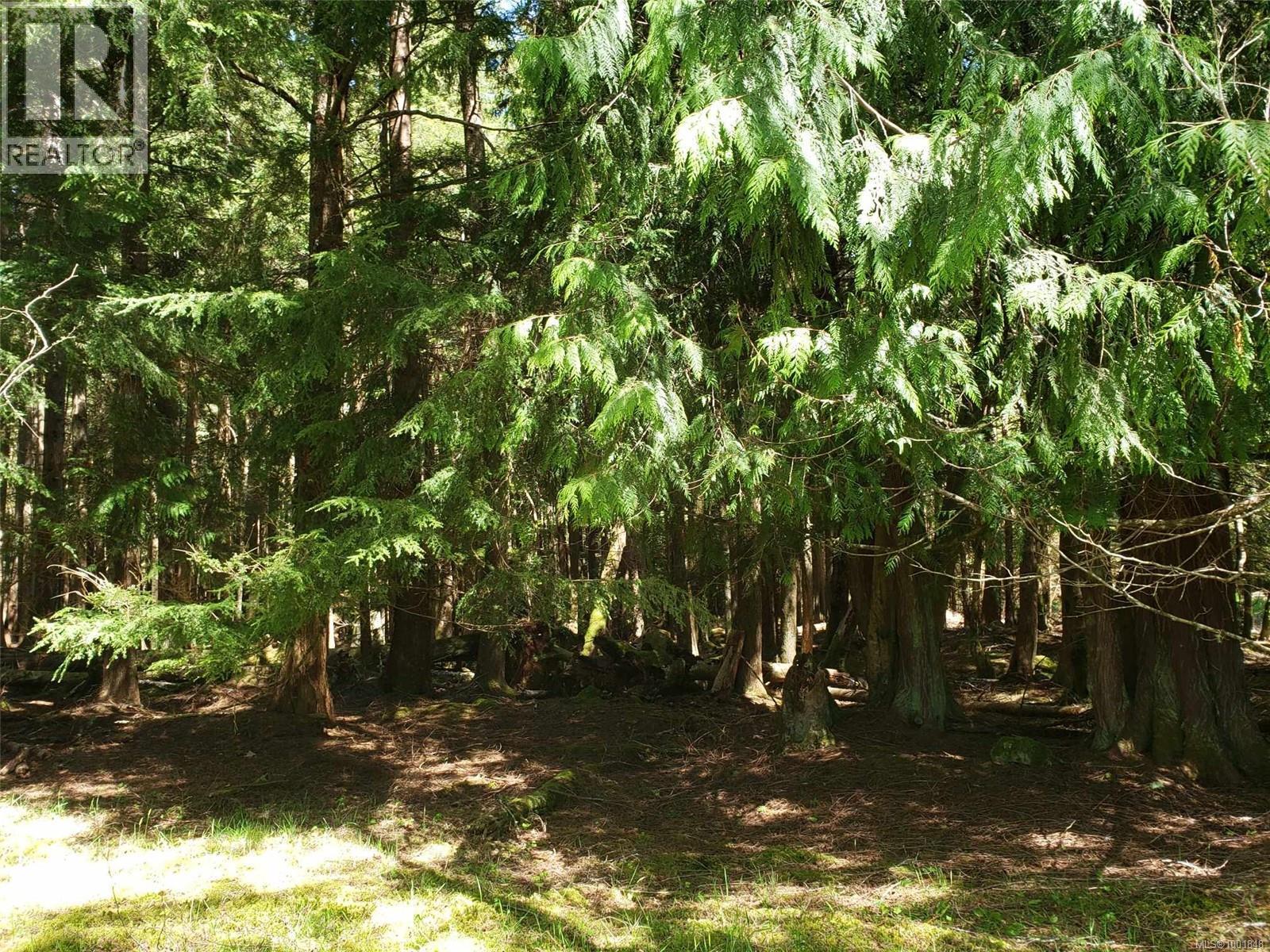 430 Kaleva Rd, Sointula, BC