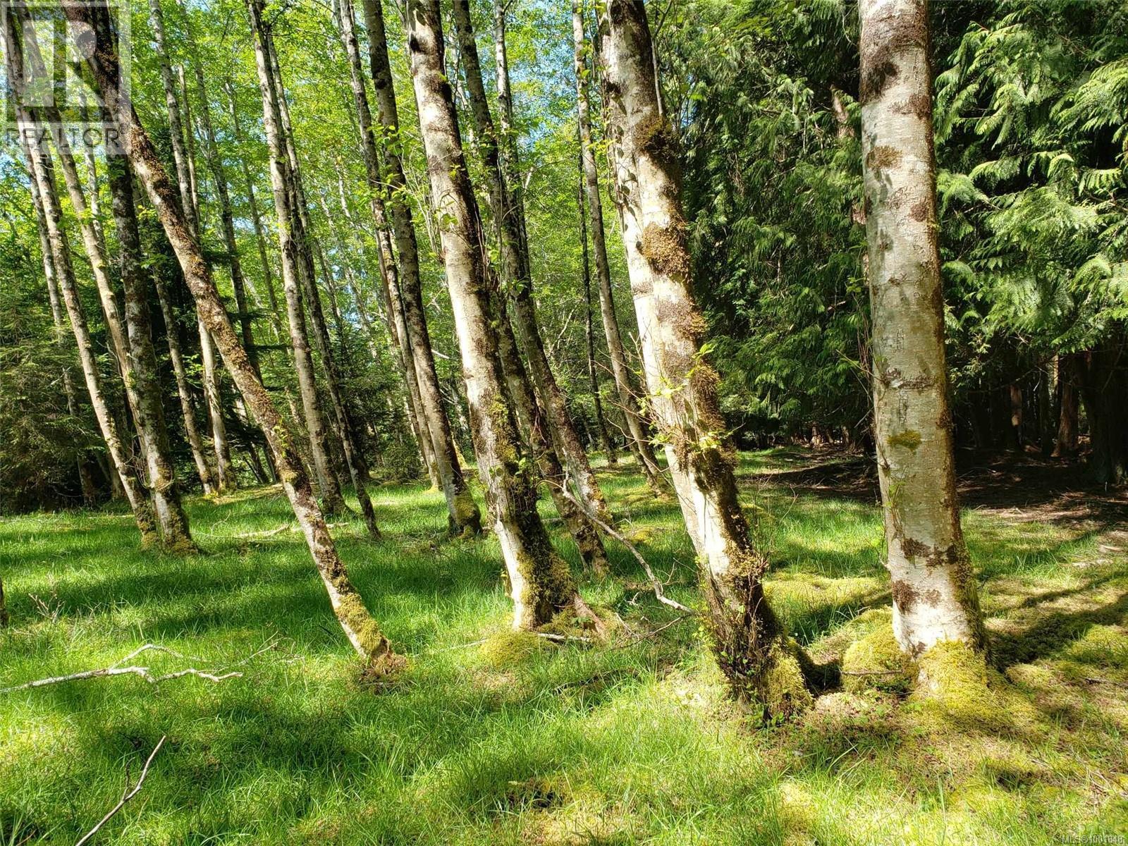 430 Kaleva Rd, Sointula, BC