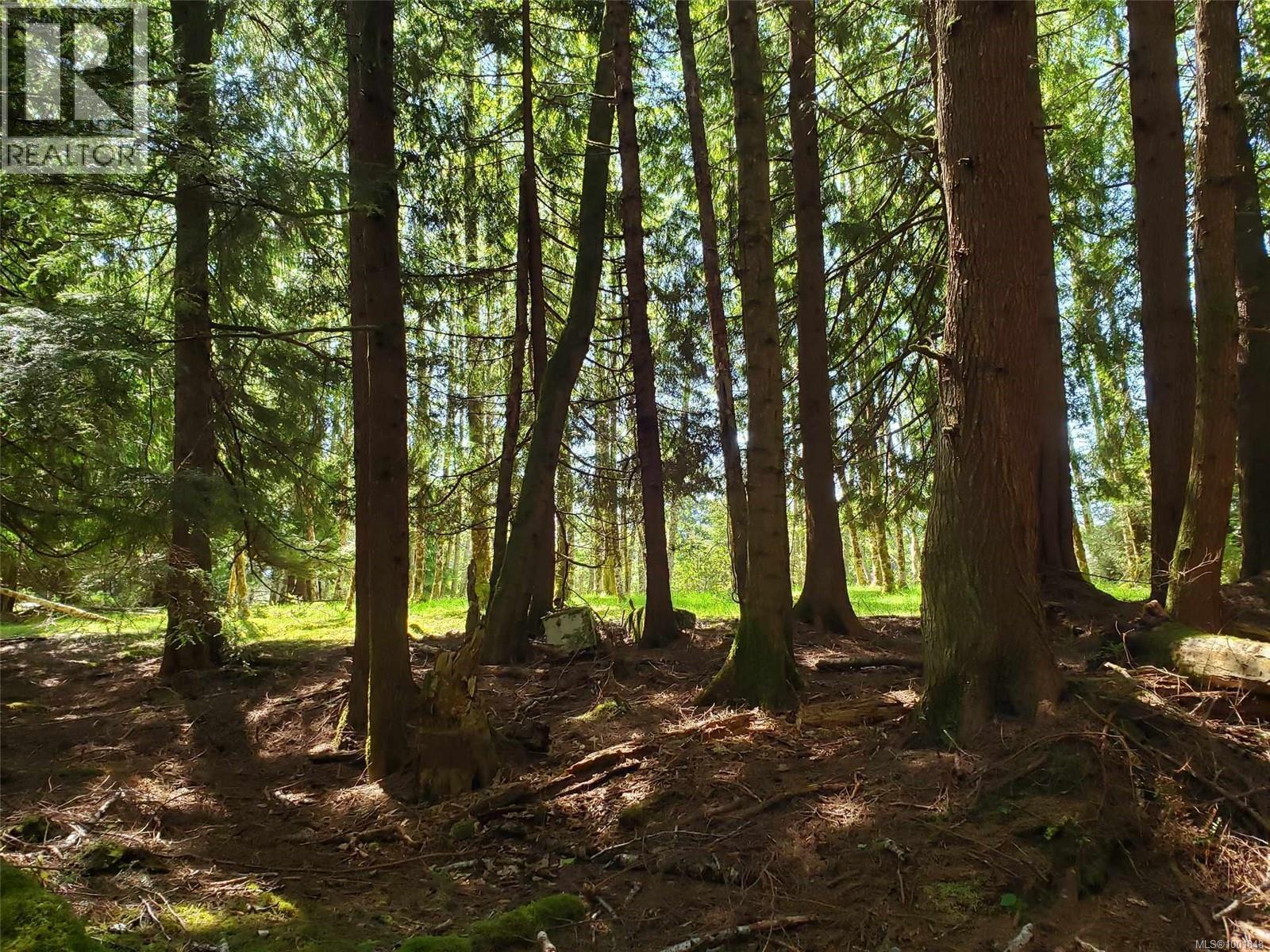 430 Kaleva Rd, Sointula, BC