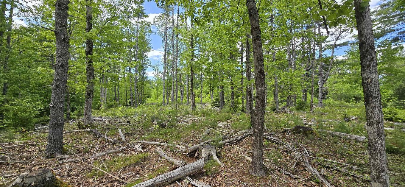 Lot 24-6 East Clifford Road, East Clifford, NS