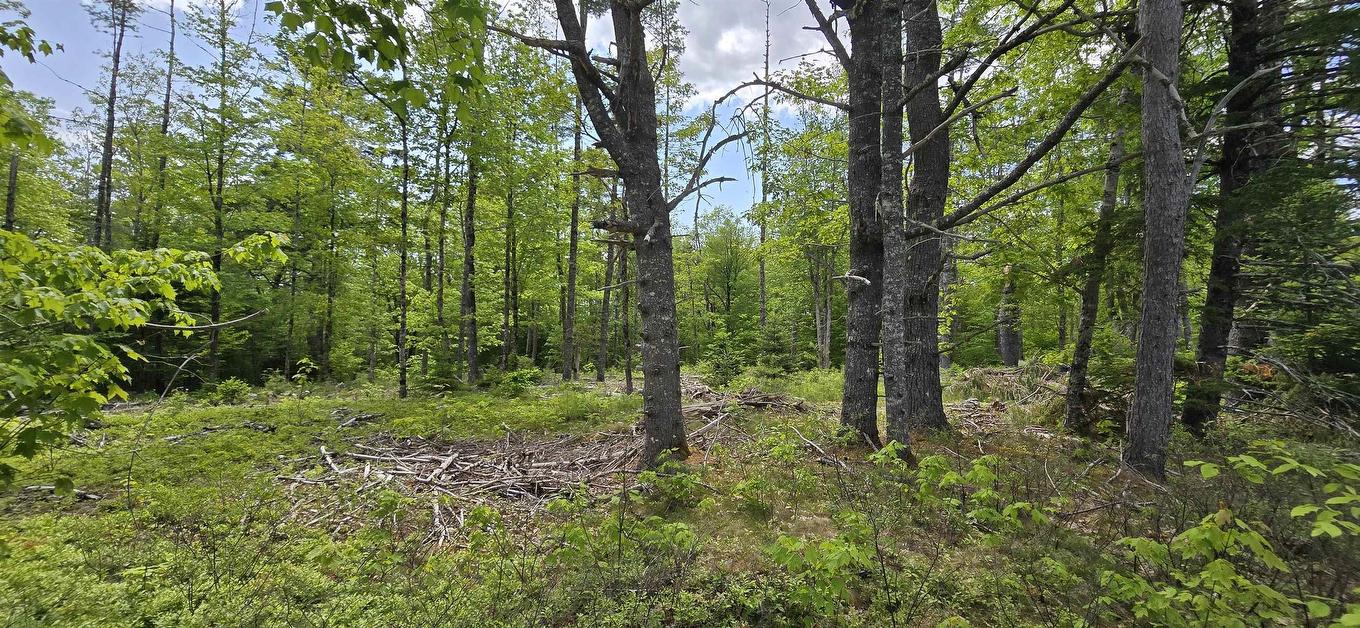 Lot 24-6 East Clifford Road, East Clifford, NS