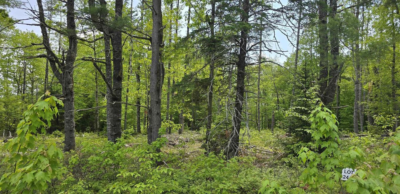 Lot 24-6 East Clifford Road, East Clifford, NS