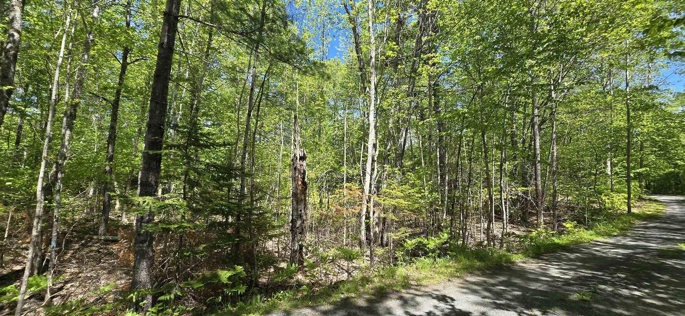 Lot 24-6 East Clifford Road, East Clifford, NS