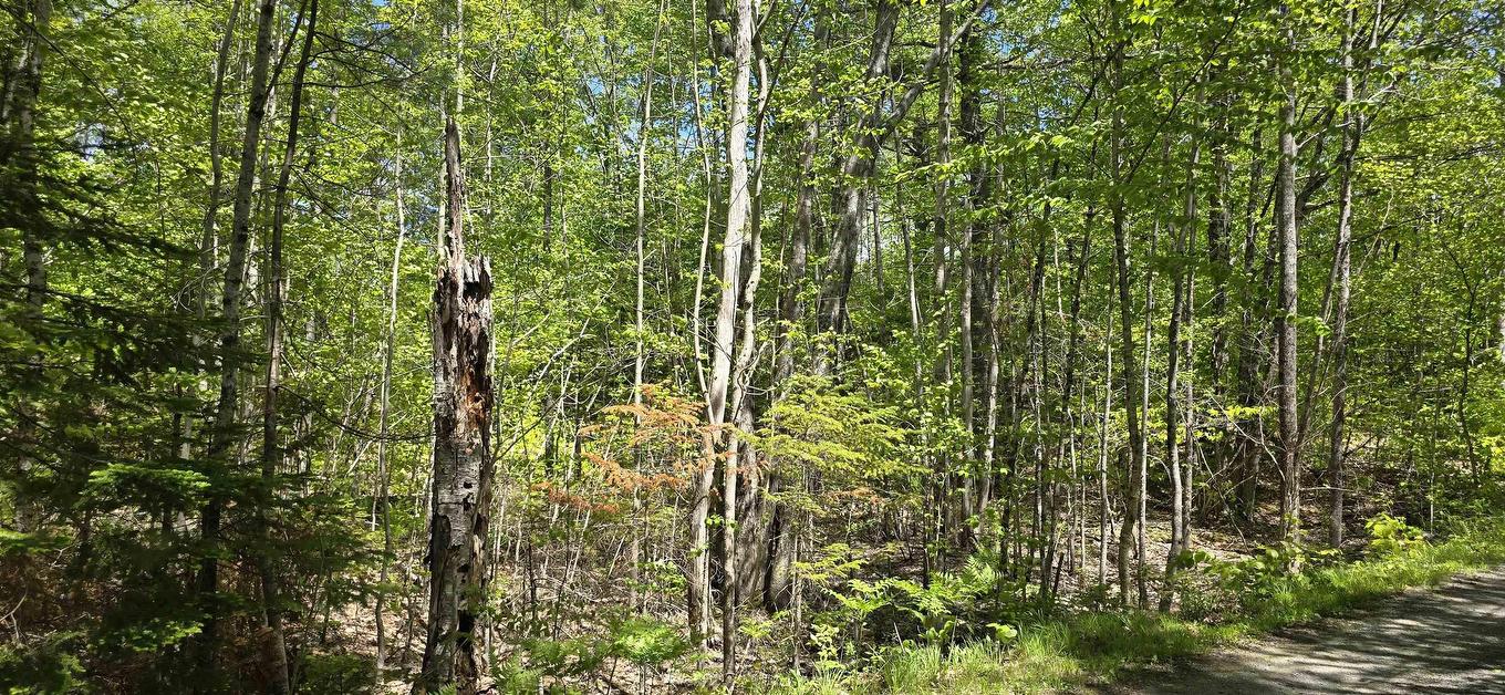 Lot 24-6 East Clifford Road, East Clifford, NS