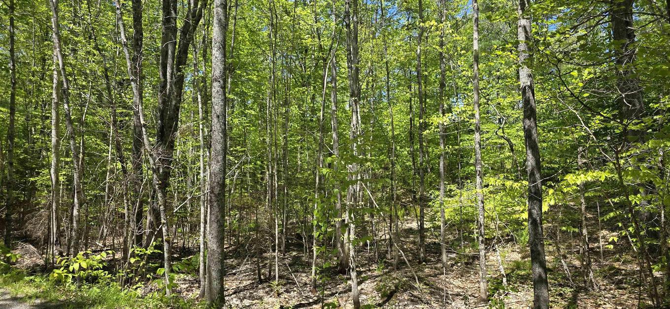 Lot 24-6 East Clifford Road, East Clifford, NS