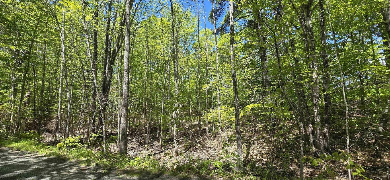 Lot 24-6 East Clifford Road, East Clifford, NS