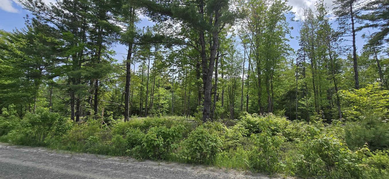 Lot 24-6 East Clifford Road, East Clifford, NS