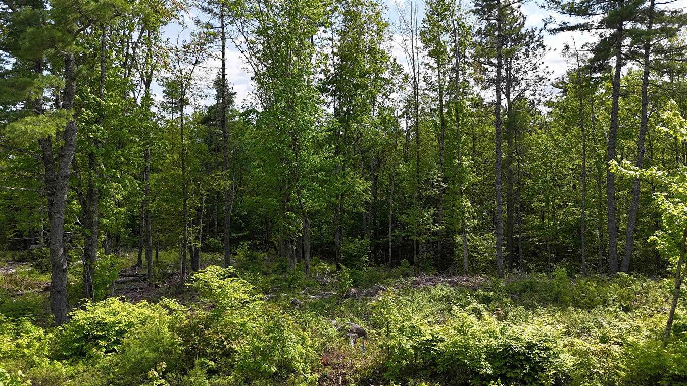 Lot 24-6 East Clifford Road, East Clifford, NS
