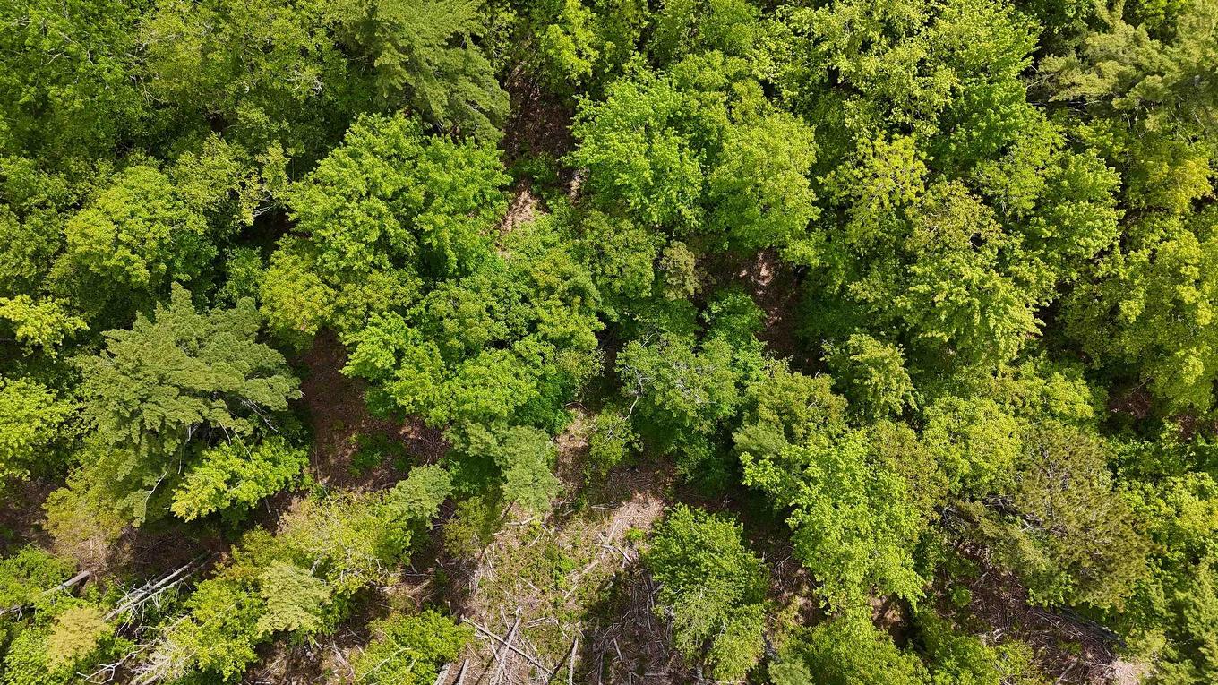 Lot 24-6 East Clifford Road, East Clifford, NS