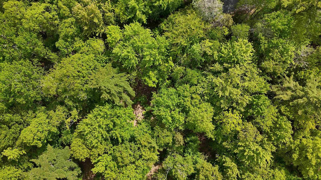 Lot 24-6 East Clifford Road, East Clifford, NS