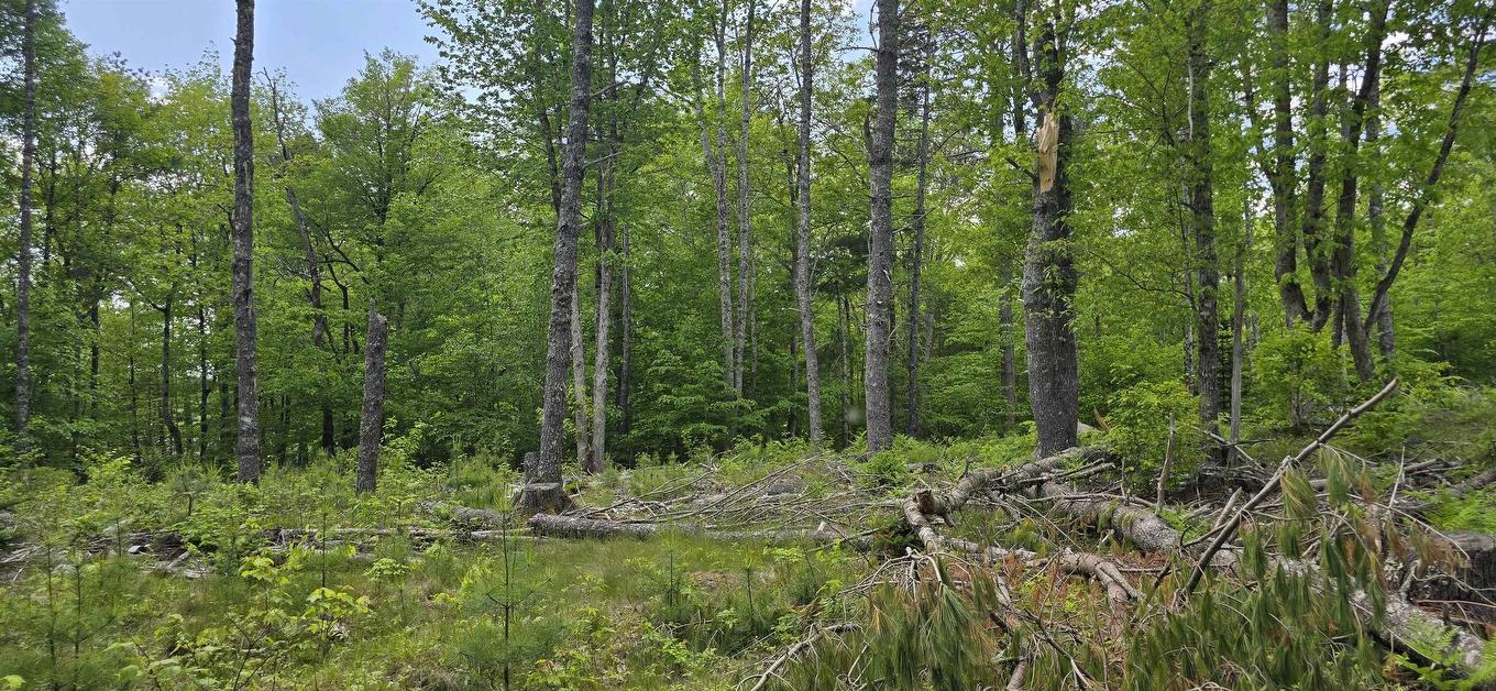 Lot 24-6 East Clifford Road, East Clifford, NS