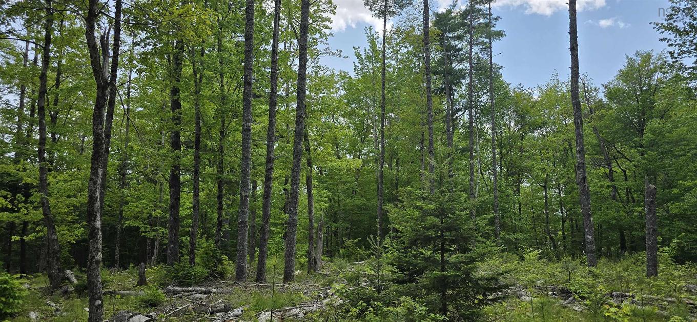 Lot 24-6 East Clifford Road, East Clifford, NS