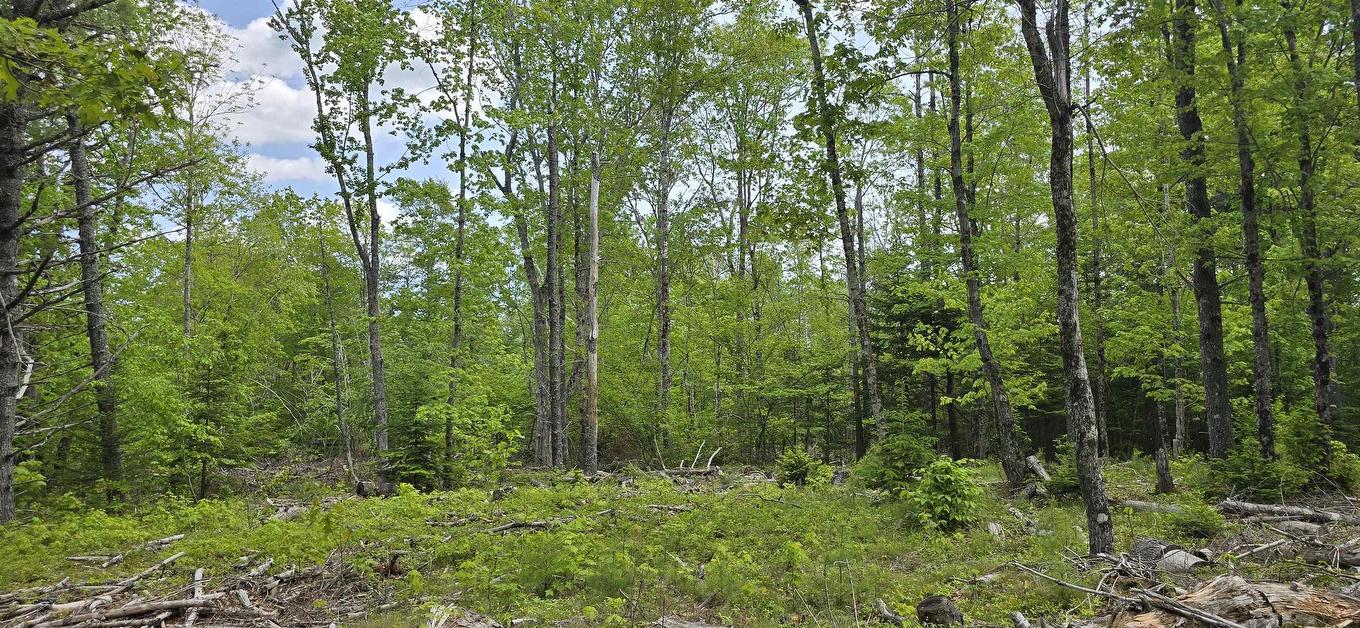 Lot 24-6 East Clifford Road, East Clifford, NS