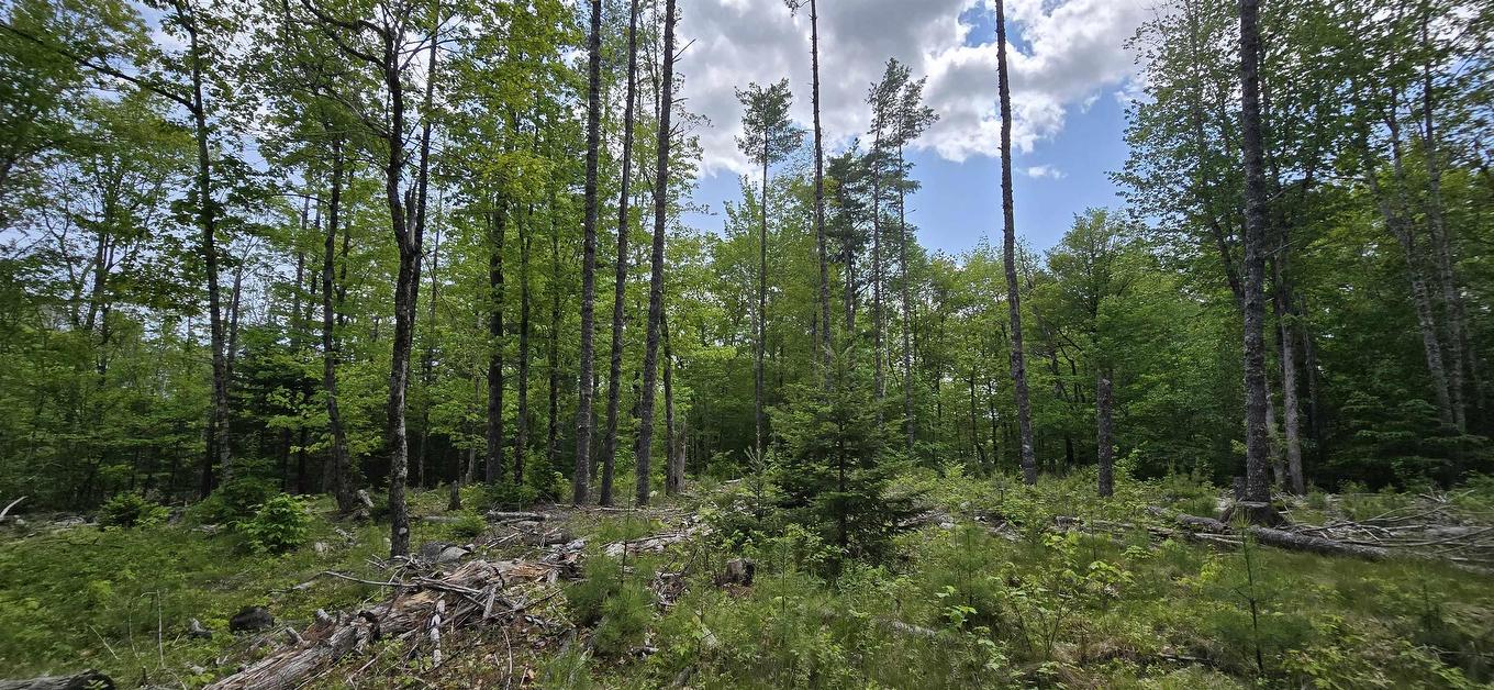 Lot 24-6 East Clifford Road, East Clifford, NS