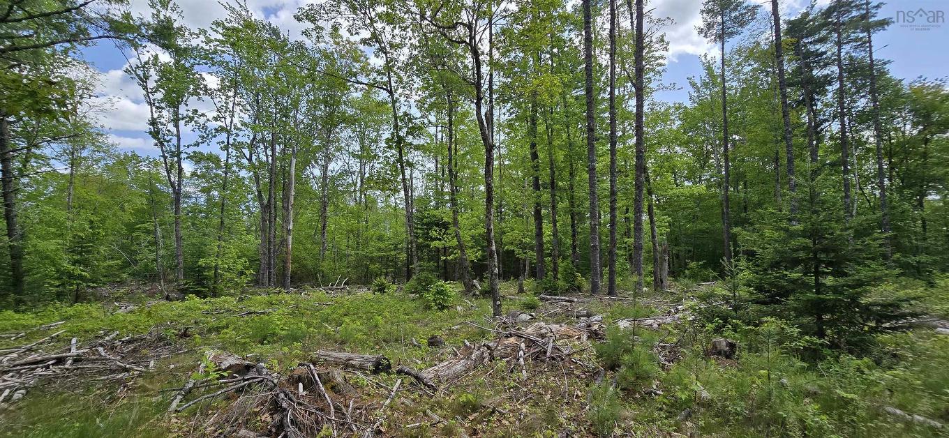 Lot 24-6 East Clifford Road, East Clifford, NS