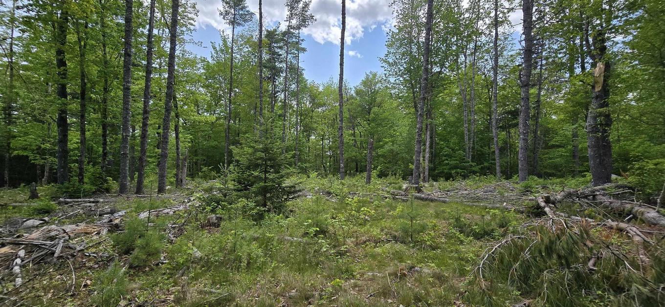 Lot 24-6 East Clifford Road, East Clifford, NS