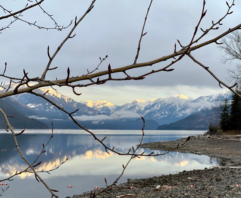 1341 Highway 31A, New Denver, BC