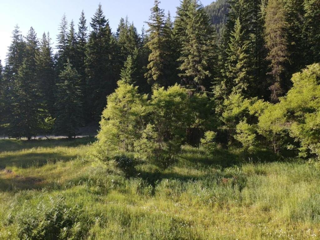 1341 Highway 31A, New Denver, BC