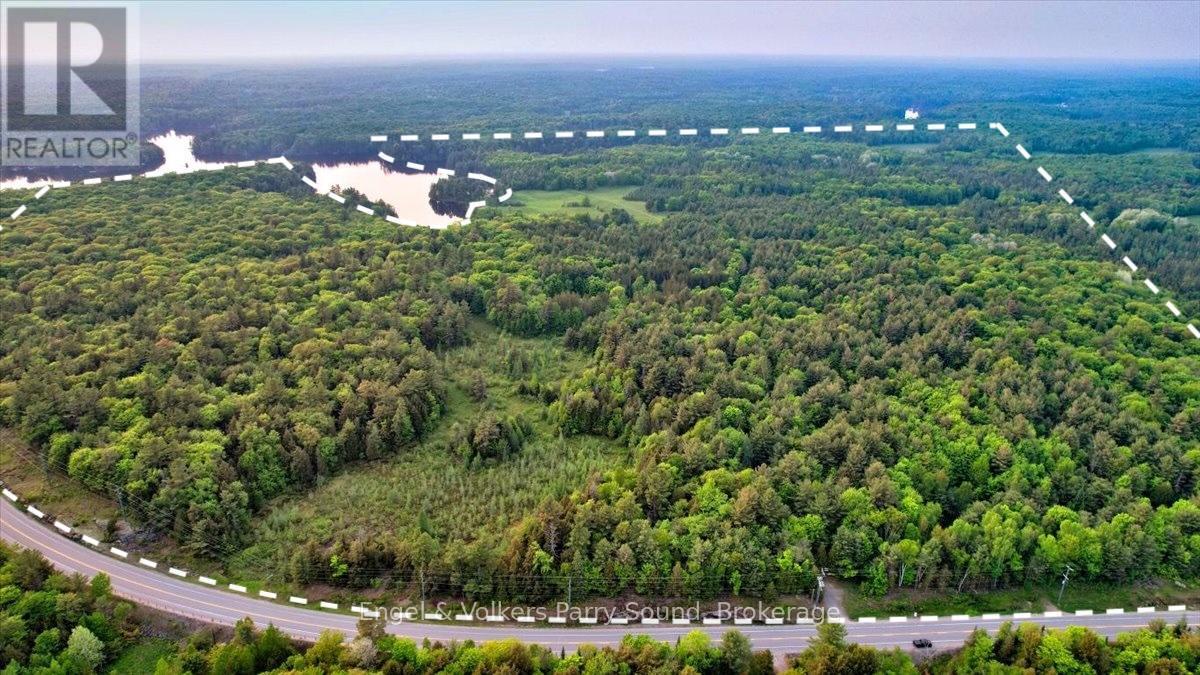 53 Birdwood Lane, Mcdougall, ON - Outdoor With View