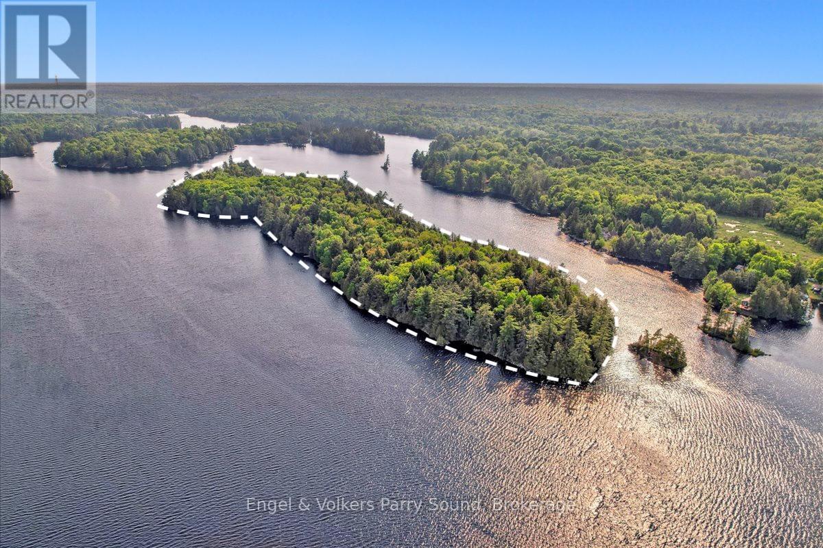 53 Birdwood Lane, Mcdougall, ON - Outdoor With Body Of Water With View