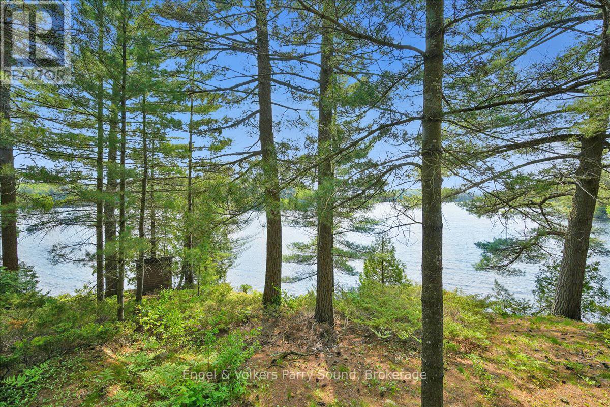 53 Birdwood Lane, Mcdougall, ON - Outdoor With View