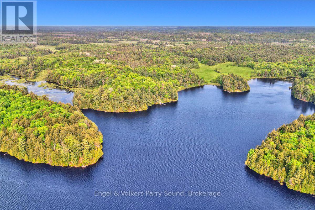 53 Birdwood Lane, Mcdougall, ON - Outdoor With Body Of Water With View