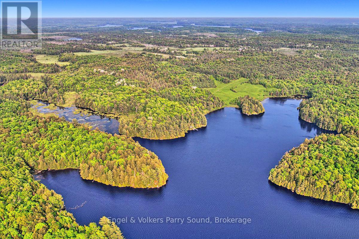 53 Birdwood Lane, Mcdougall, ON - Outdoor With Body Of Water With View