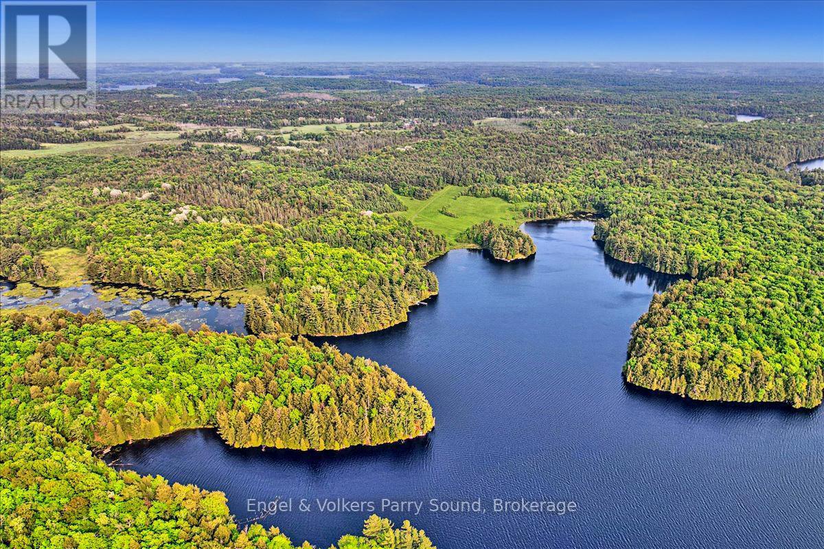 53 Birdwood Lane, Mcdougall, ON - Outdoor With Body Of Water With View