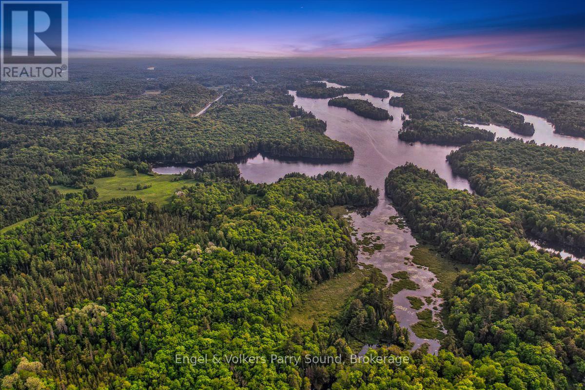 53 Birdwood Lane, Mcdougall, ON - Outdoor With View