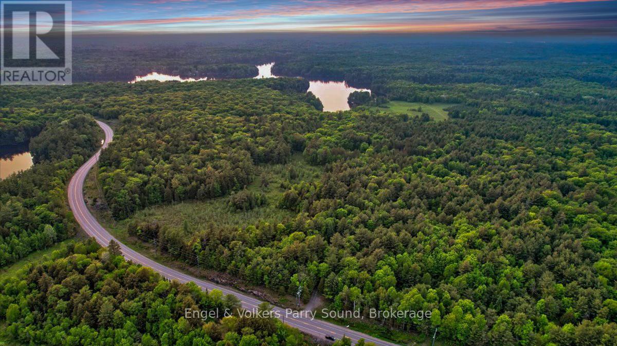 53 Birdwood Lane, Mcdougall, ON - Outdoor With View