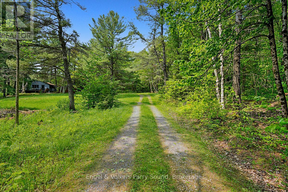 53 Birdwood Lane, Mcdougall, ON - Outdoor With View