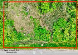 100 feet Frontage -