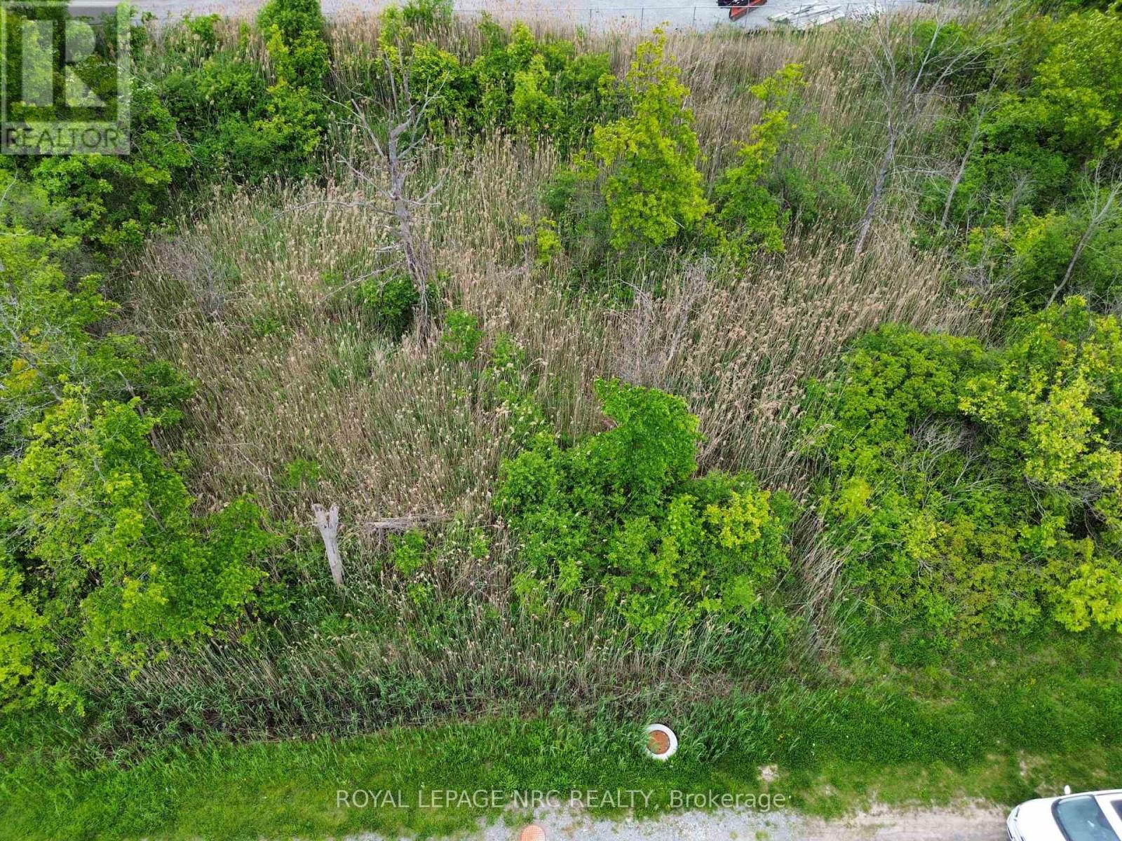INSH Zoning with many permitted uses - 26 Shaw Street, Welland (Broadway), ON