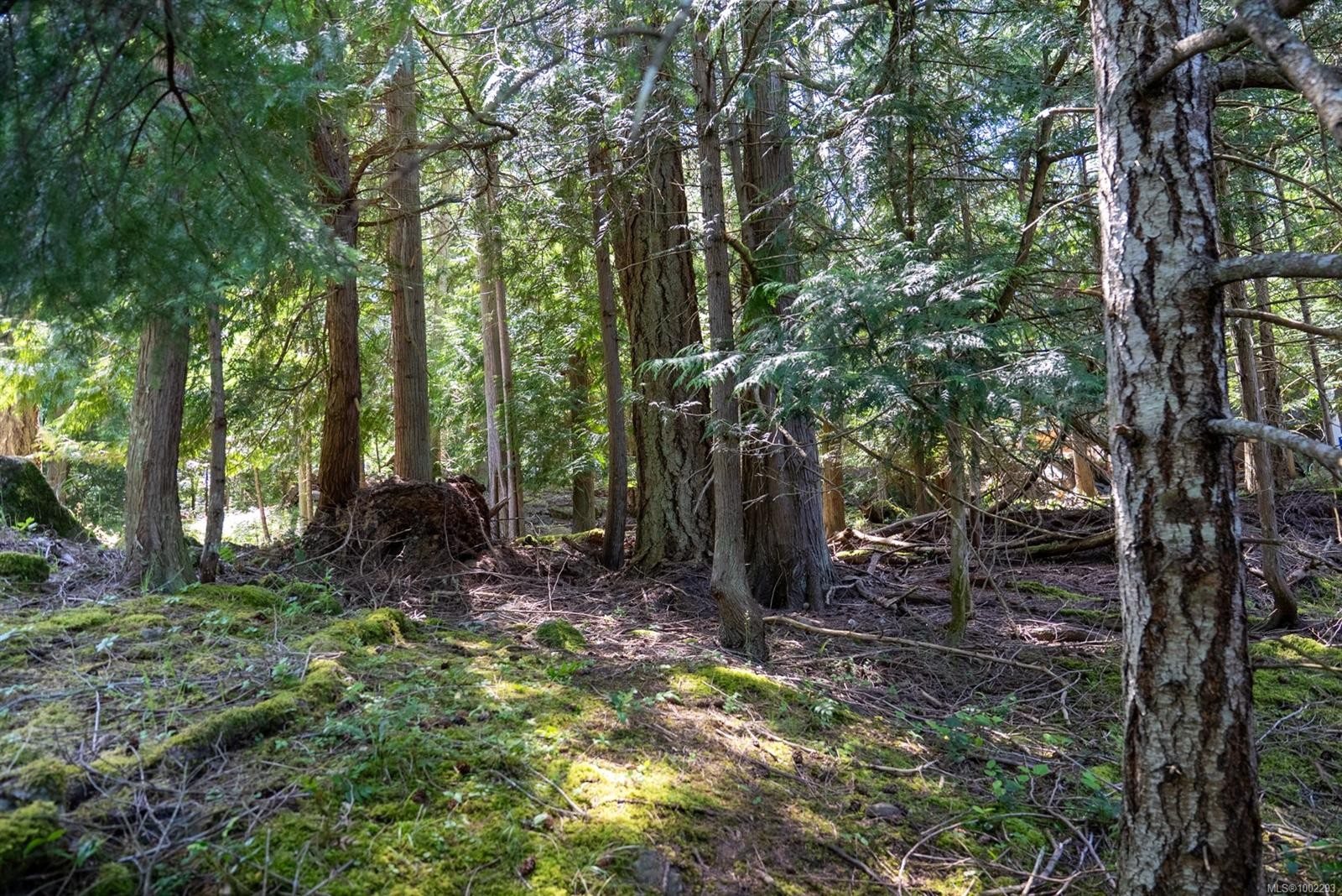 4849 Pirates Rd, Pender Island, BC