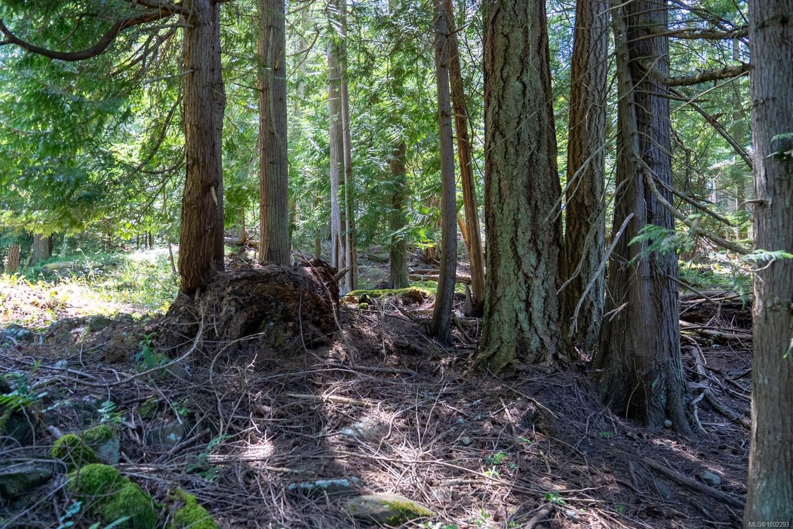 4849 Pirates Rd, Pender Island, BC