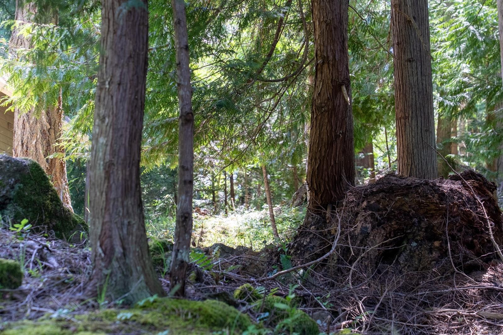 4849 Pirates Rd, Pender Island, BC