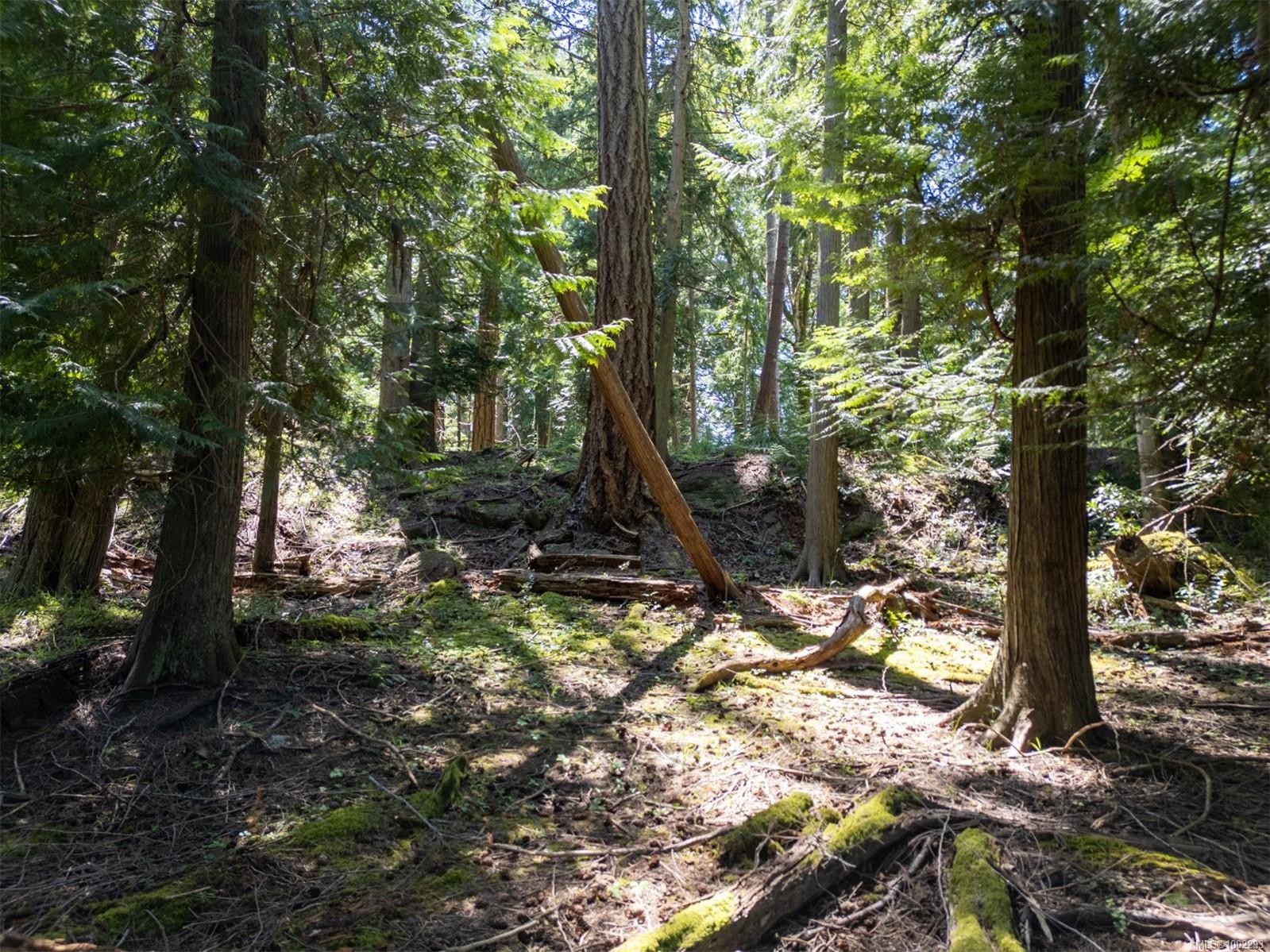 4849 Pirates Rd, Pender Island, BC