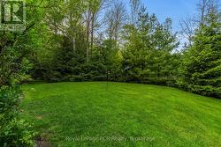 Large, private, open grass areas for play. -