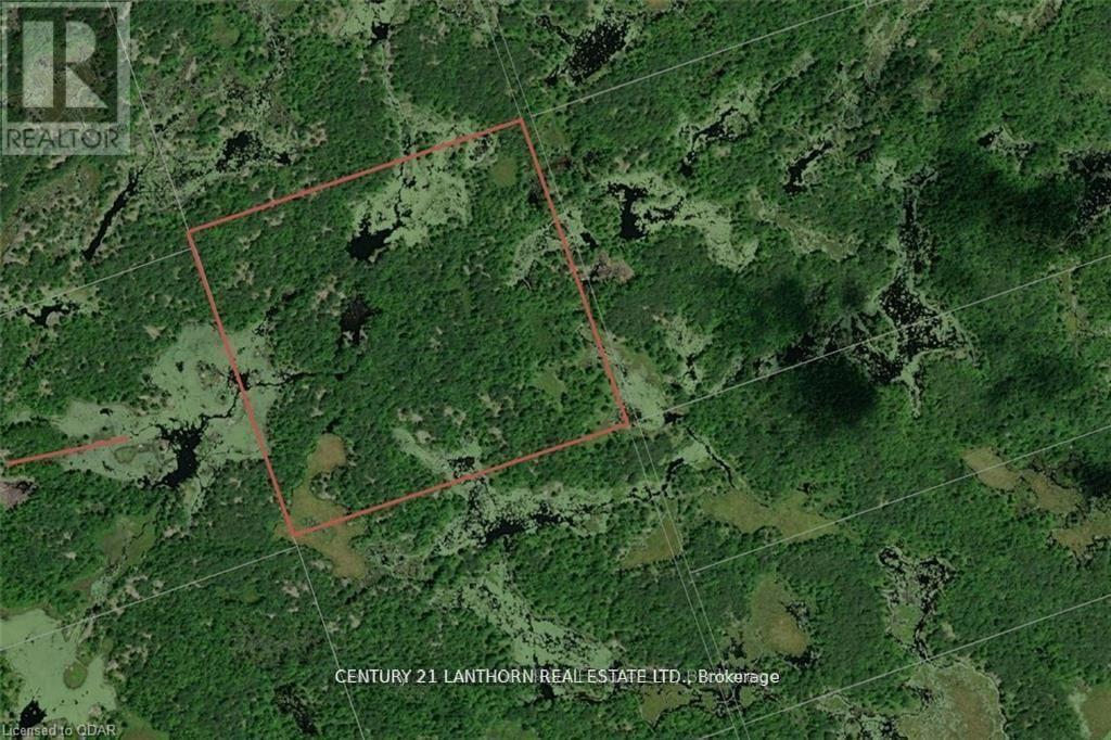 Lt 28 Con 9, Tweed (Elzevir (Twp)), ON