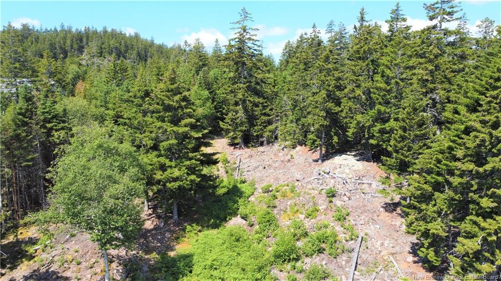 Lot 7 Kilmarnock Head, Chamcook, NB