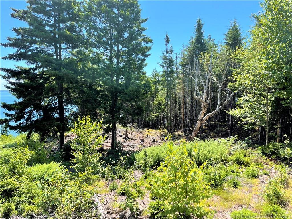 Lot 7 Kilmarnock Head, Chamcook, NB